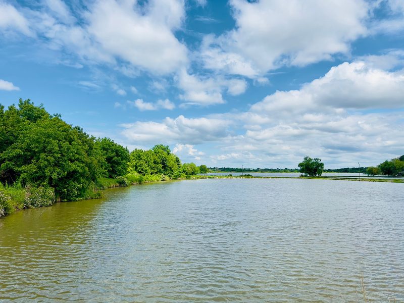 Mal cu vegetație pe Lacul Periș