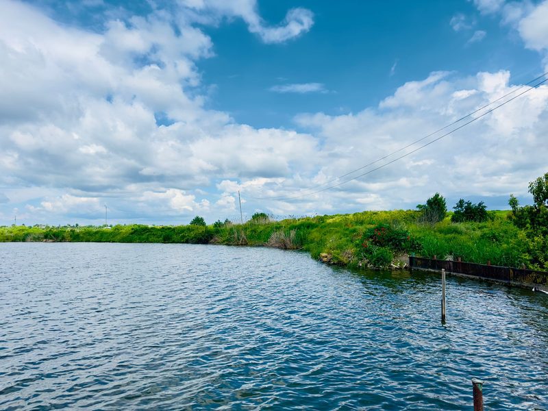 Cabană paznic Lacul Periș